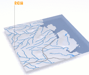 3d view of Reia