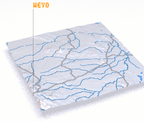 3d view of Weyo