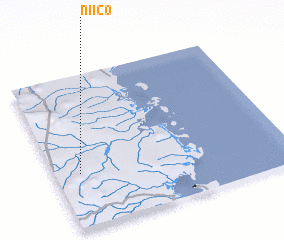 3d view of Niico