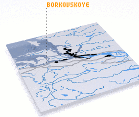 3d view of Borkovskoye