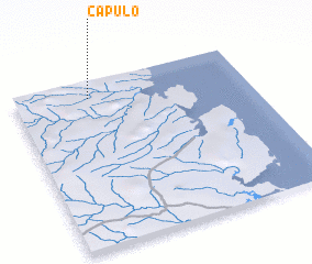 3d view of Capulo