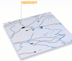 3d view of Savinskiy