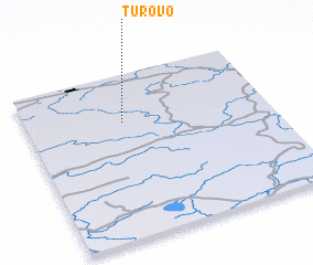 3d view of Turovo