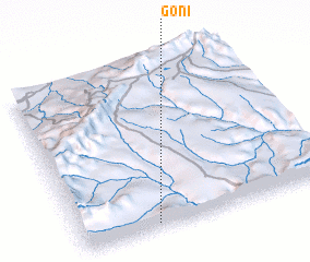 3d view of Gonī