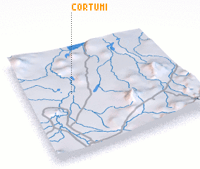 3d view of Cortumi