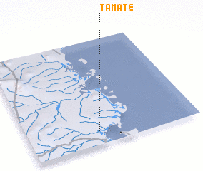 3d view of Tâmate