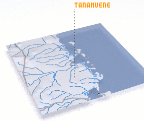 3d view of Tanamuene