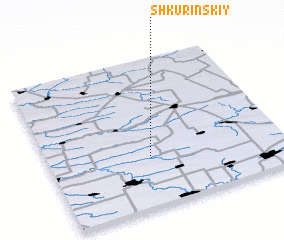 3d view of Shkurinskiy