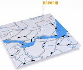 3d view of Voronki