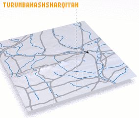 3d view of Ţurumbah ash Sharqīyah