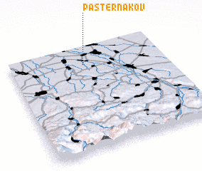 3d view of Pasternakov