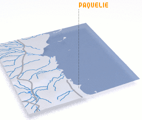 3d view of Paquelie