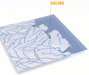 3d view of Nalibé