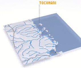 3d view of Tocomani