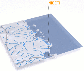 3d view of Miceti