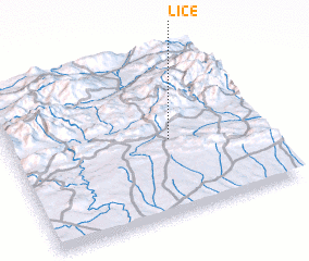 3d view of Lice