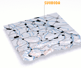 3d view of Svoboda