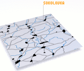 3d view of Sokolovka