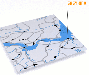 3d view of Sasykino