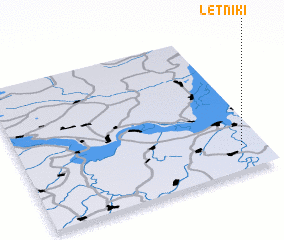 3d view of Letniki