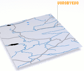 3d view of Vorob\