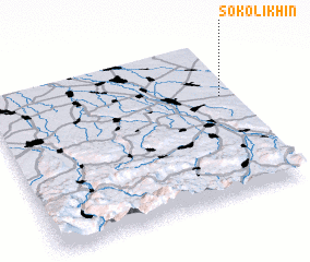 3d view of Sokolikhin