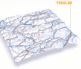 3d view of Tokular