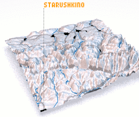 3d view of Starushkino