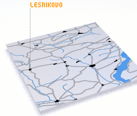 3d view of Lesnikovo