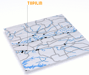 3d view of Topilin