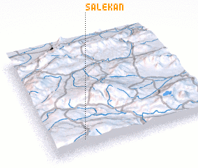 3d view of Salekan