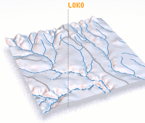 3d view of Loko