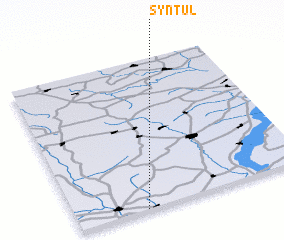 3d view of Syntul