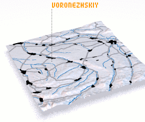 3d view of Voronezhskiy