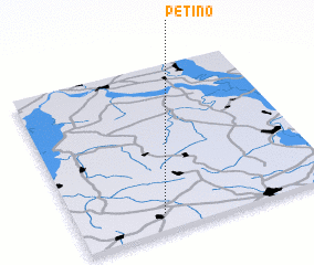 3d view of Petino