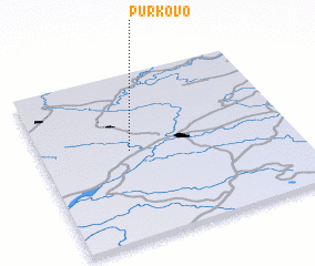 3d view of Purkovo