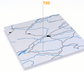 3d view of Tok