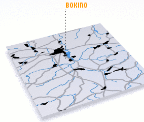 3d view of Bokino