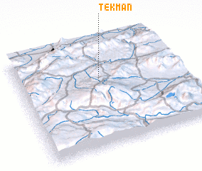 3d view of Tekman