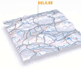 3d view of Deliler