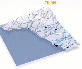 3d view of Tikori