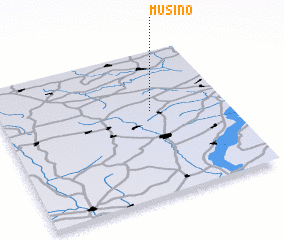 3d view of Musino