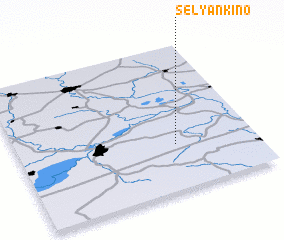 3d view of Selyankino