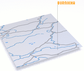 3d view of Burnikha