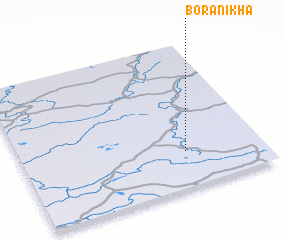 3d view of Boranikha