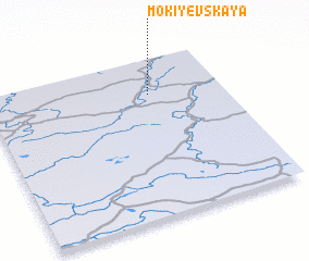 3d view of Mokiyevskaya