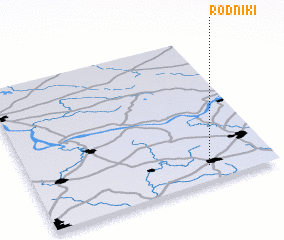 3d view of Rodniki