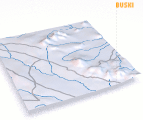 3d view of Buski