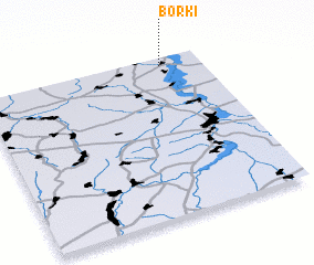 3d view of Borki
