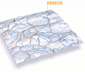 3d view of Pekecik